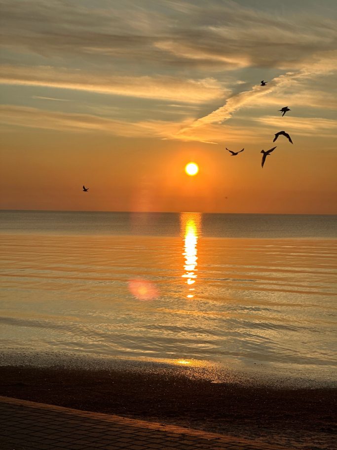 Sonnenaufgang & Möwen Sonnenaufgang mit Möwen Ostsee-Strandhaus Dahme